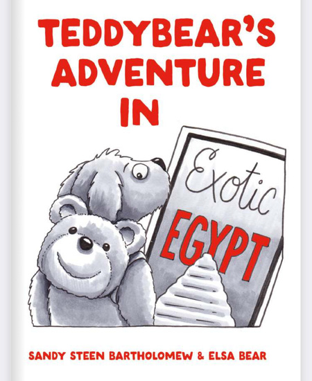 TeddyBear's Adventure